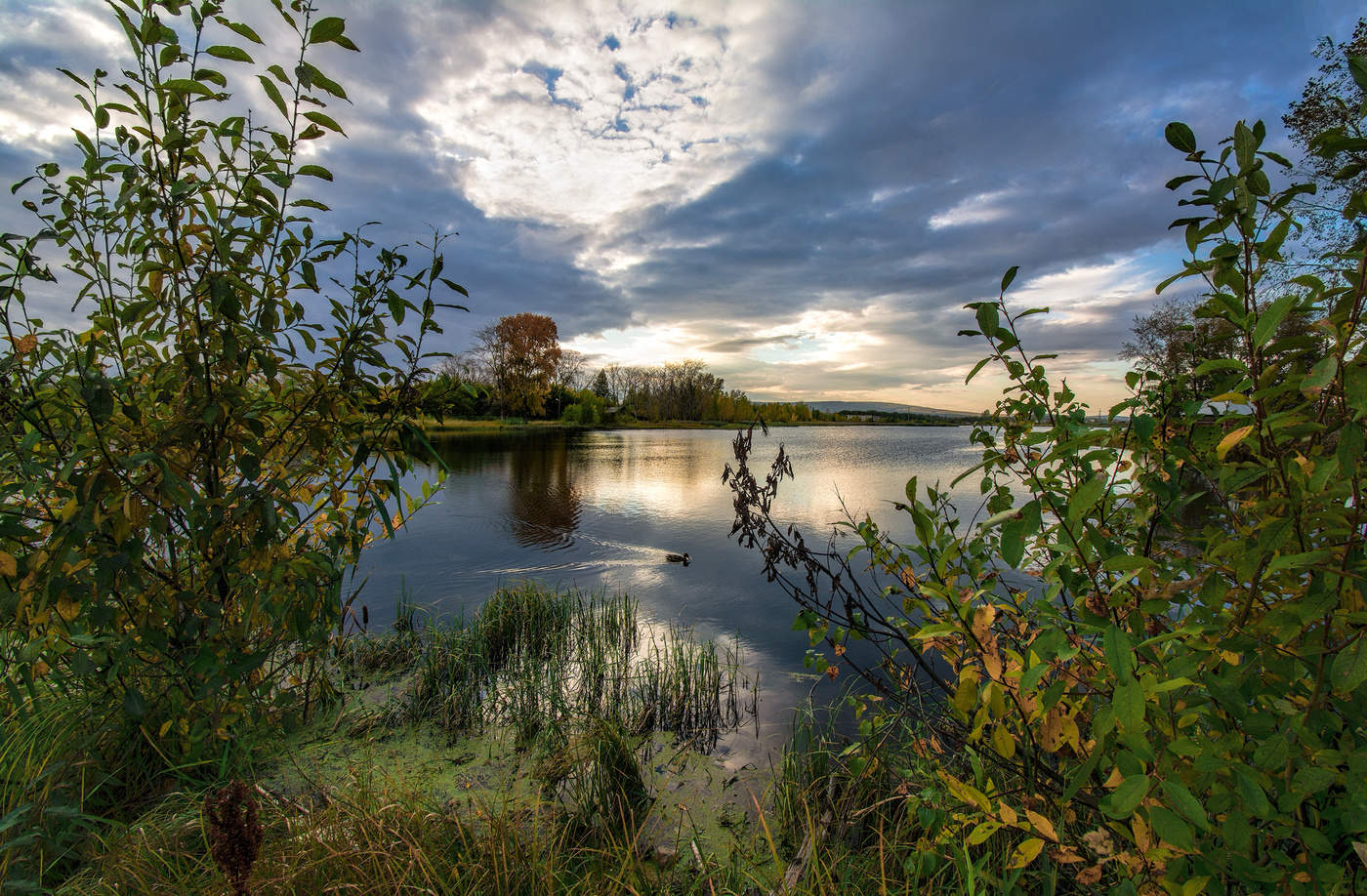 Вечерняя прогулка