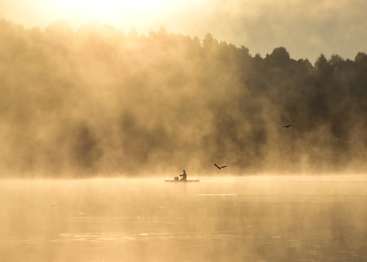 На встречу мечте...