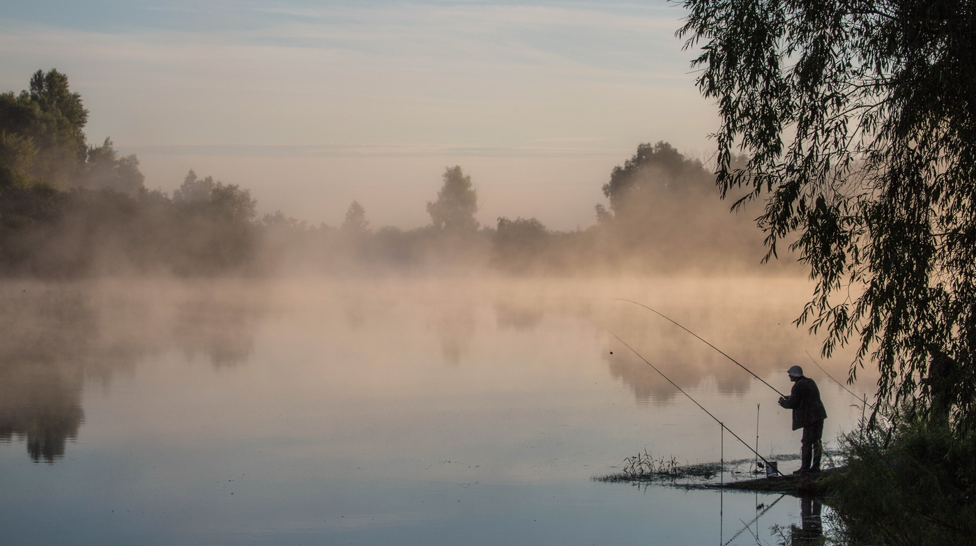 Тронул звоном рассвет колокольчик...