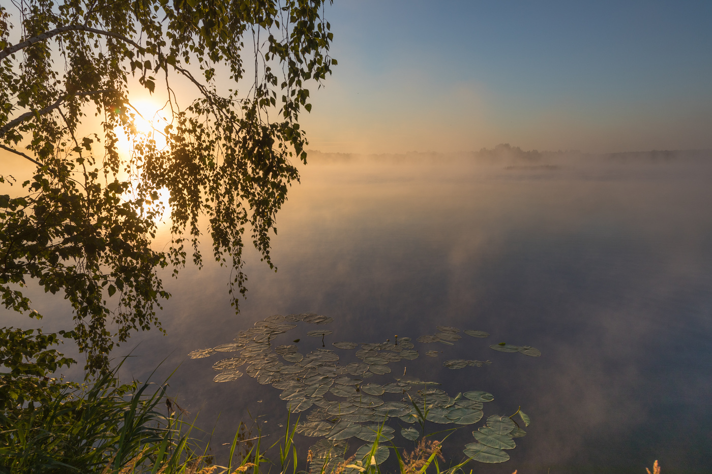 Утренний туман