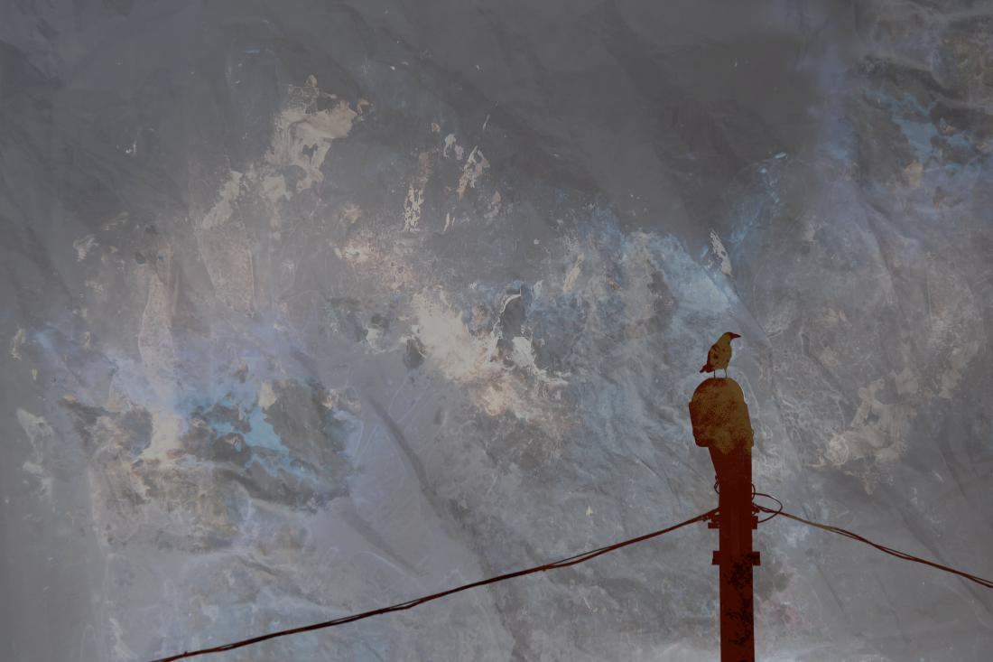 call center \колл центр