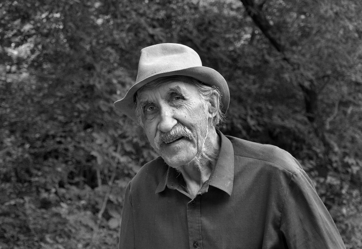 Портрет старика