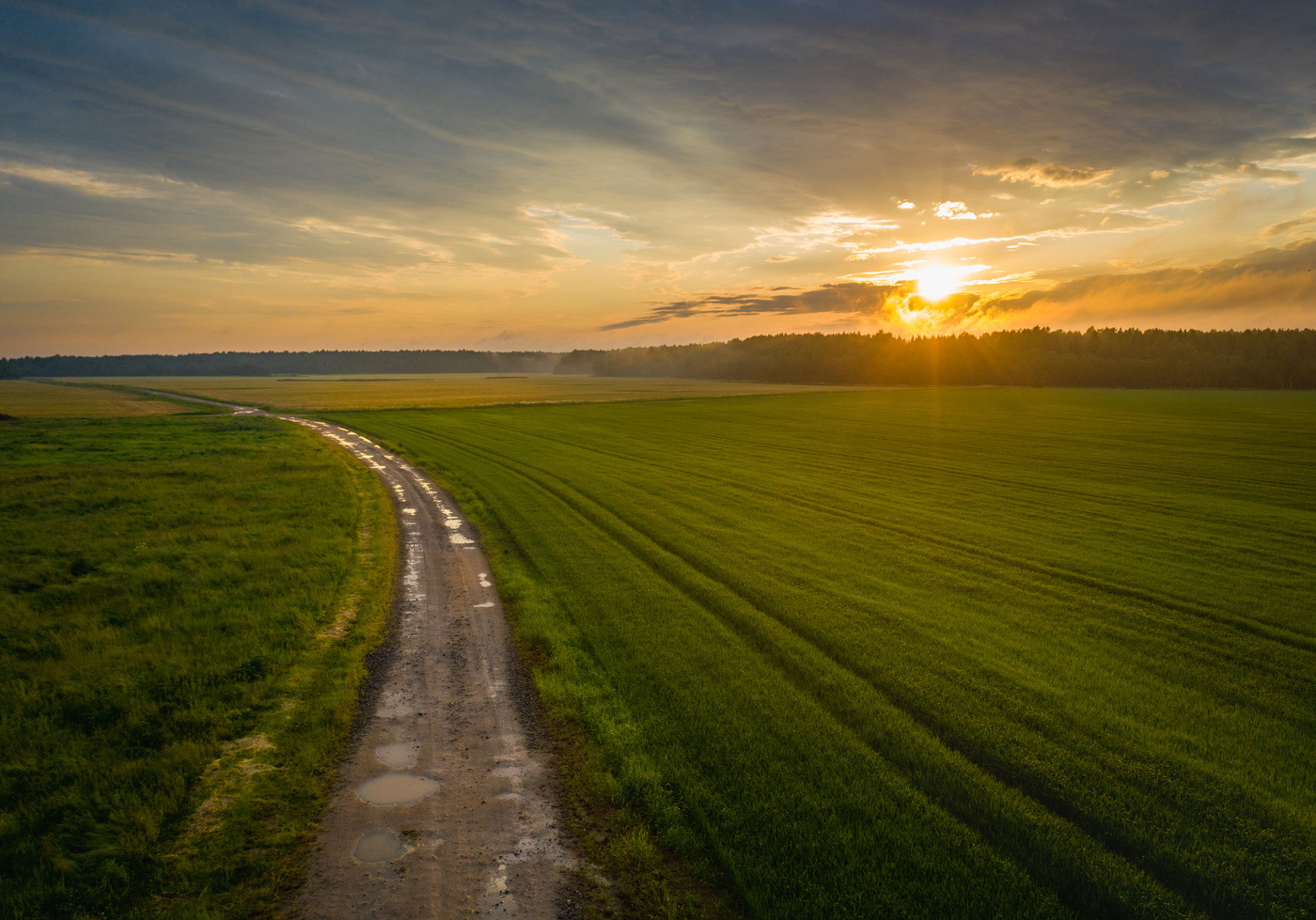 После дождя