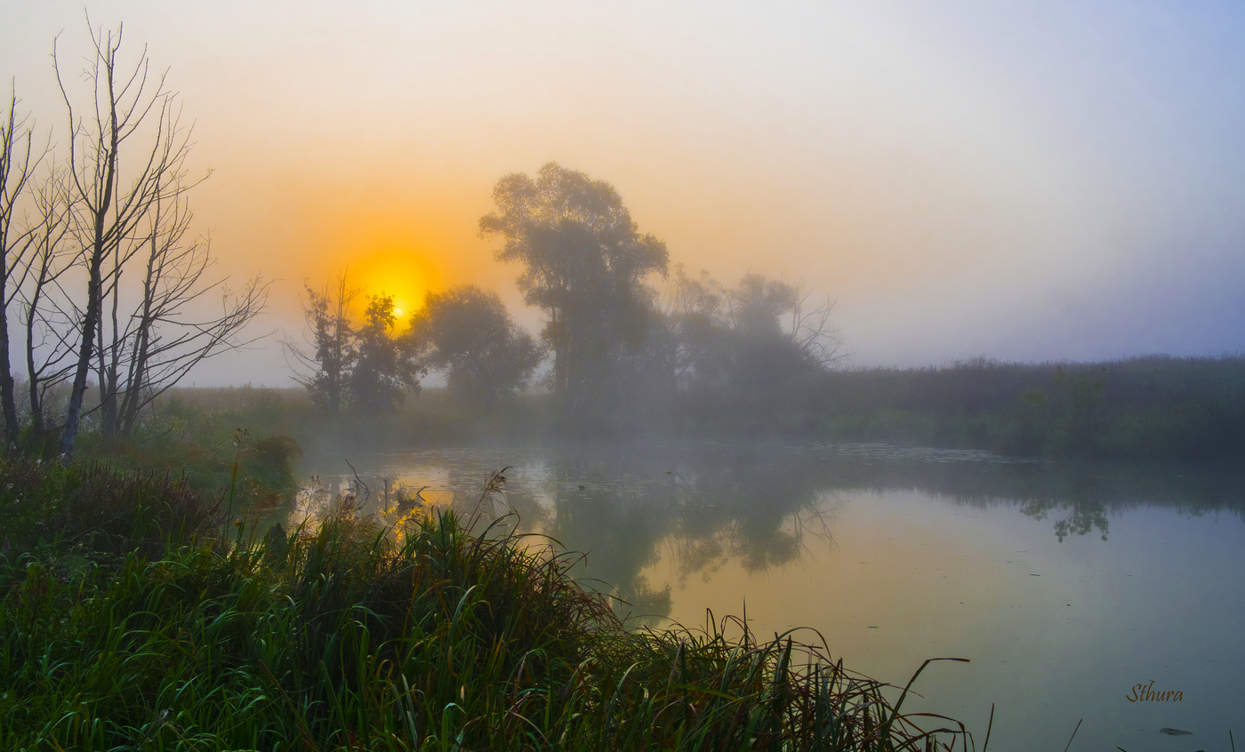 Омут на рассвете.