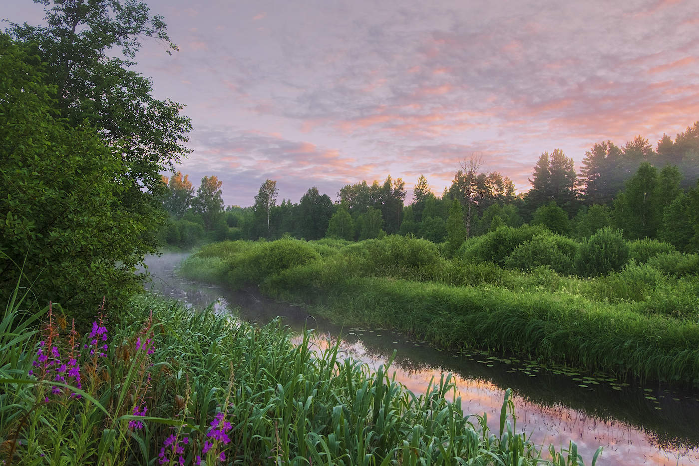 Краски летнего утра