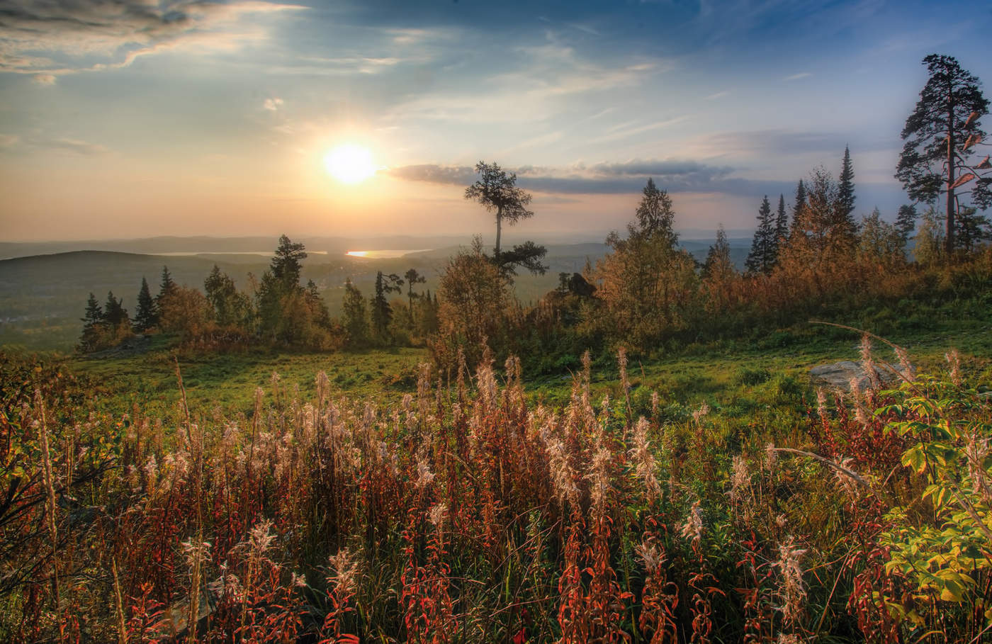 Осенние цветы