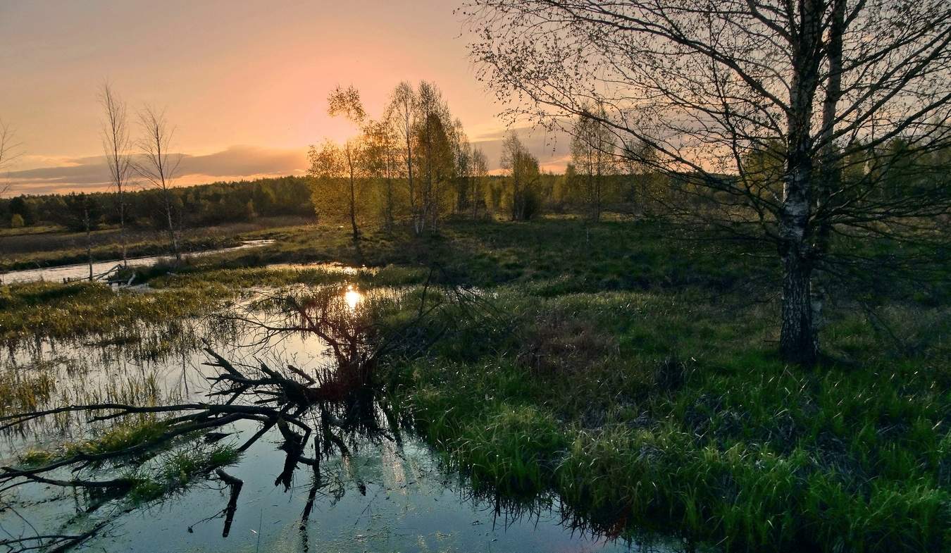 Вечер в Орловском Полесье