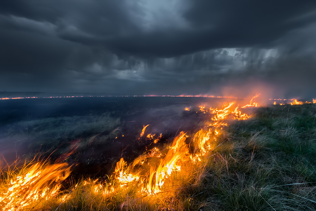 Во время грозы