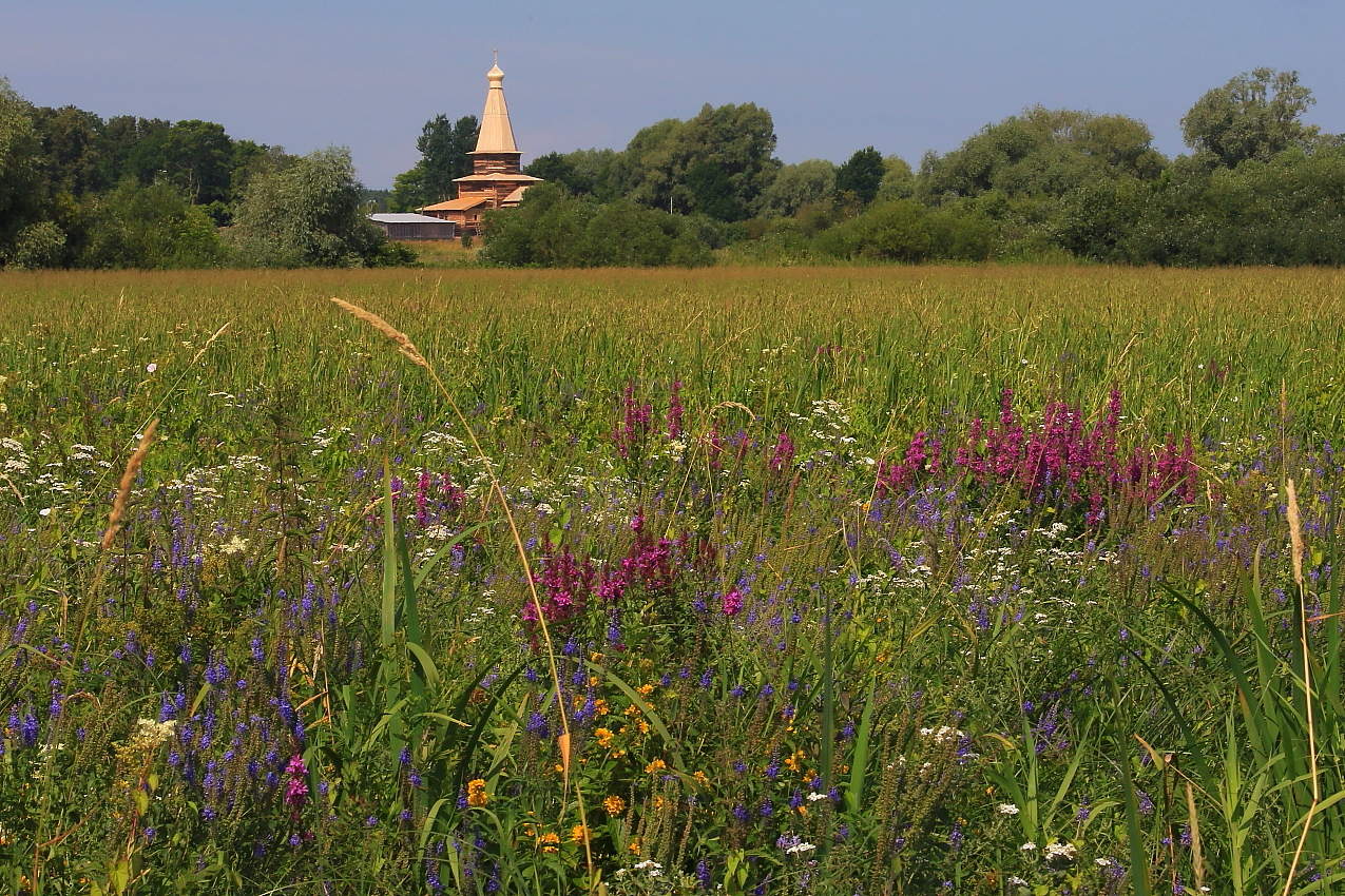 Летняя прогулка