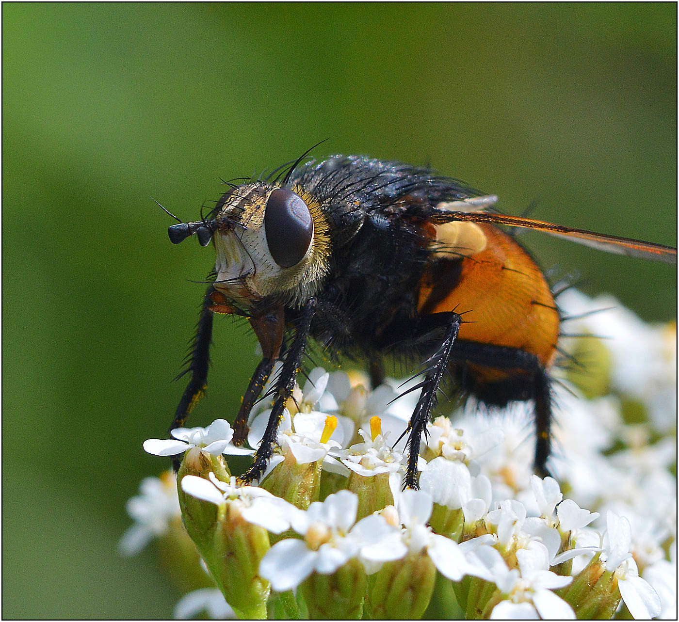С кем еще поговорить...