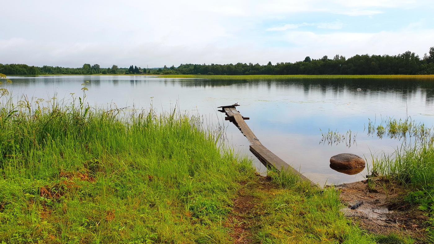 Летняя прогулка