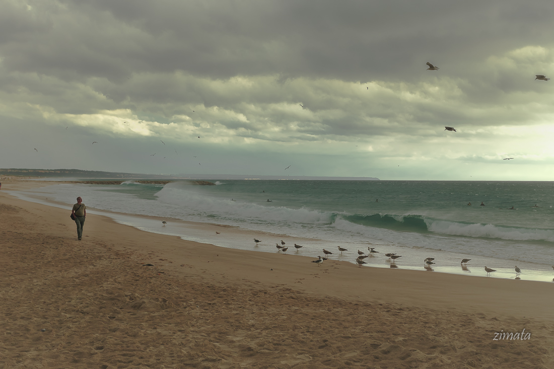 Летняя прогулка