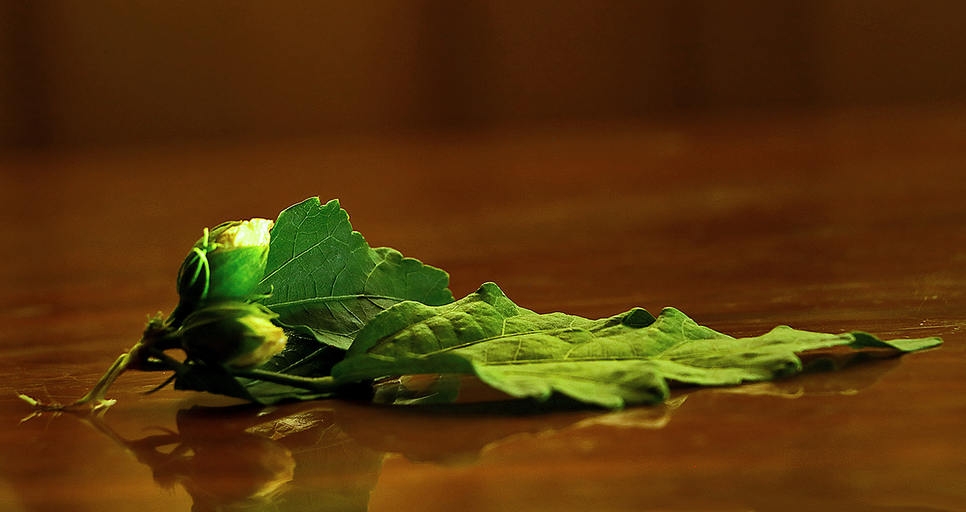 "Умирающий лебедь"