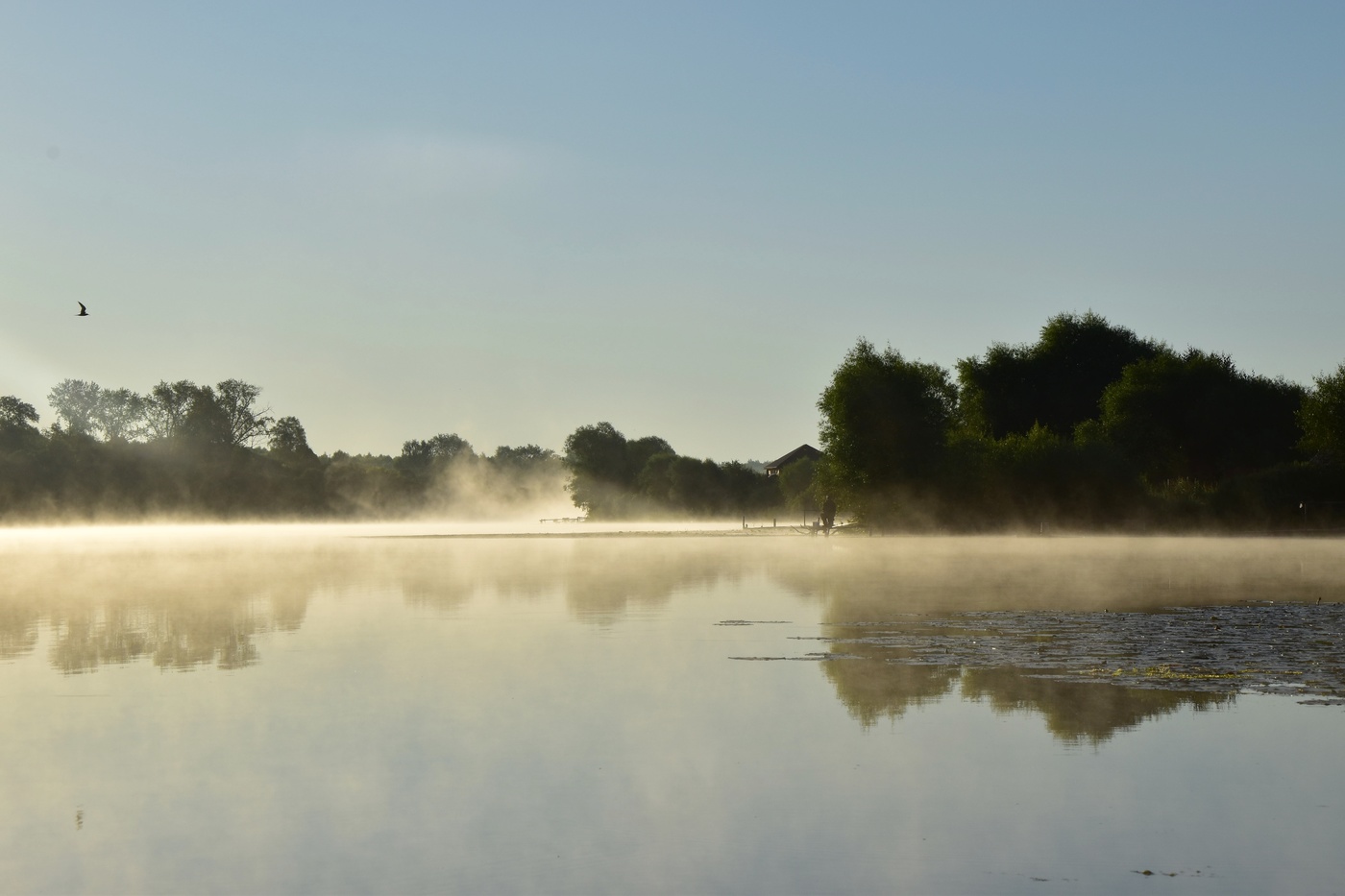 Душа встрепенулась и рвётся в полёт...