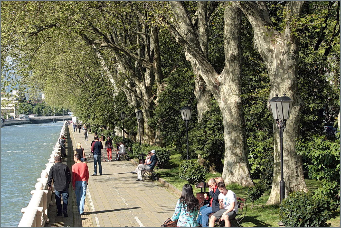 Летняя прогулка