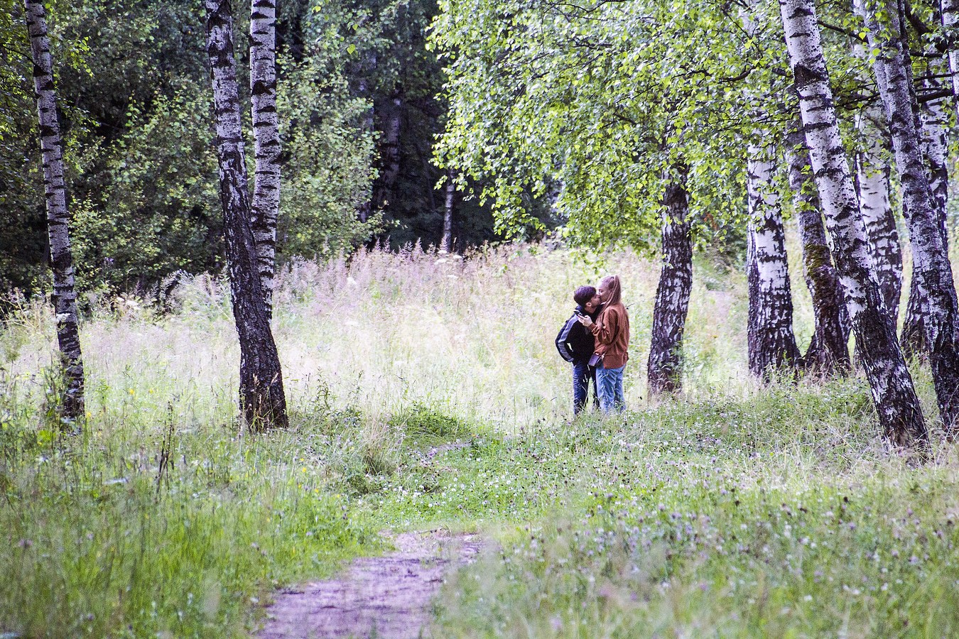 Летняя прогулка