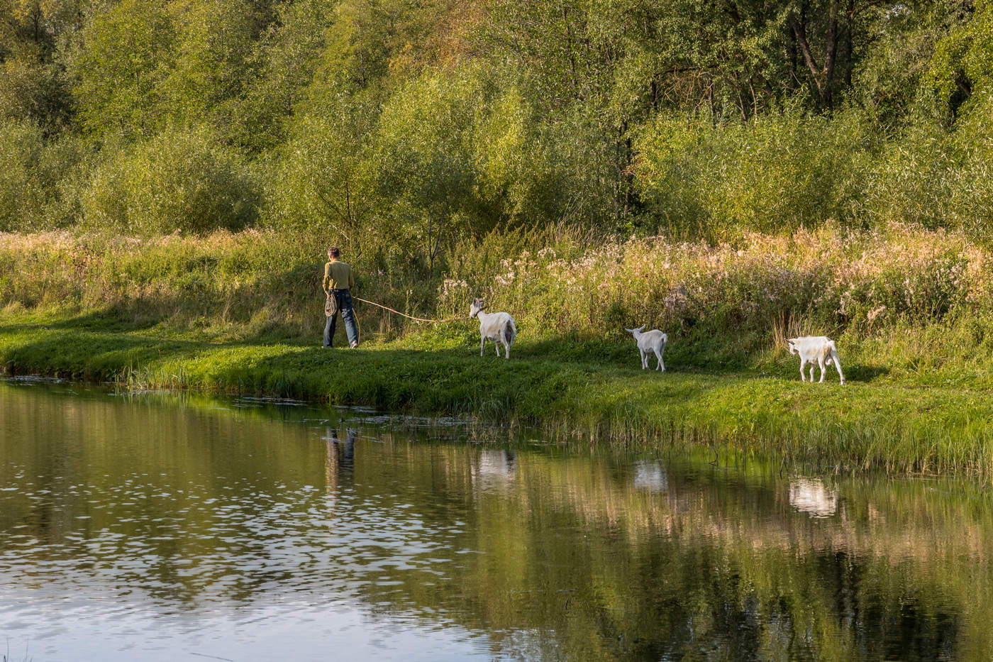 Летняя прогулка