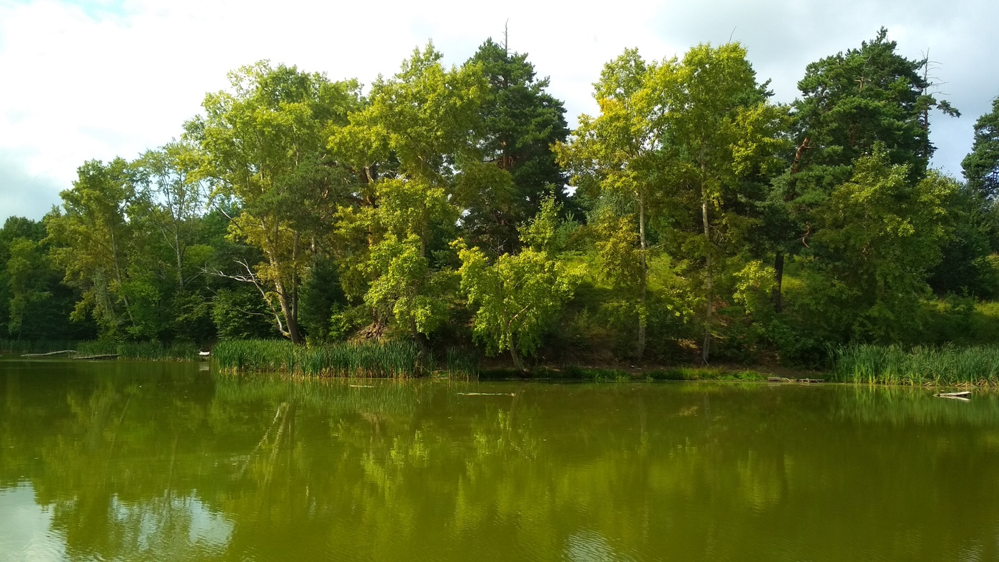 Летняя прогулка