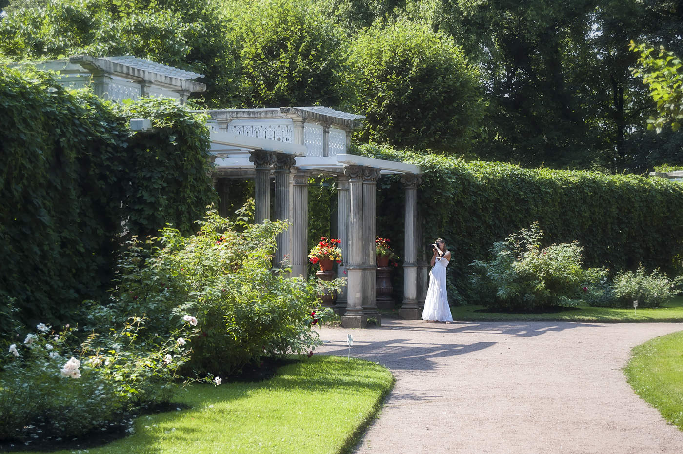 Летняя прогулка