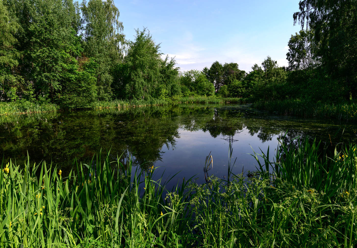 Летняя прогулка