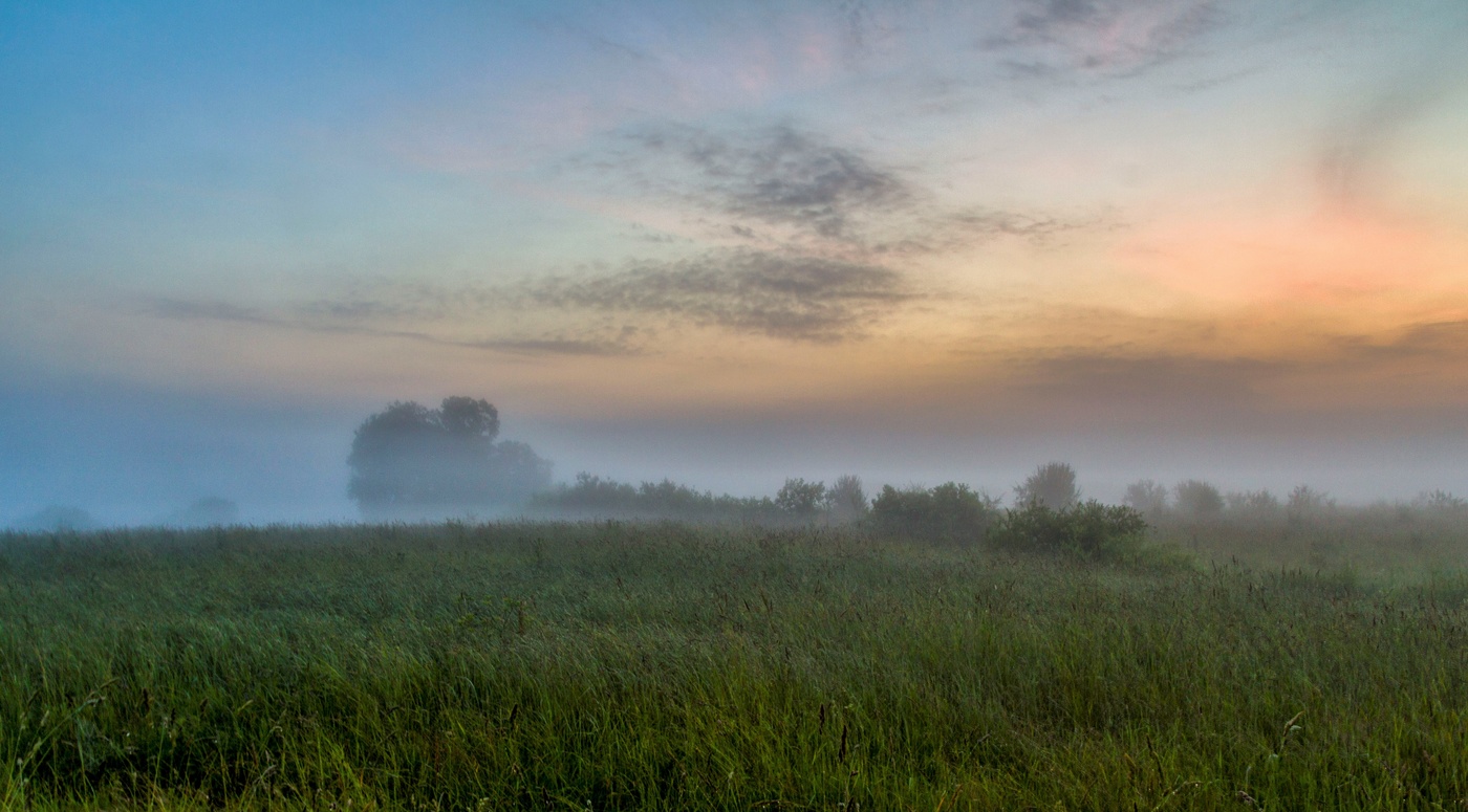 "Сквозь туманы дорог что-то манит меня..."