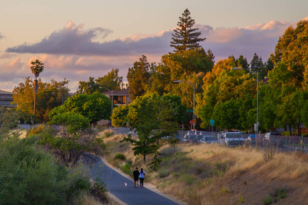 Летняя прогулка