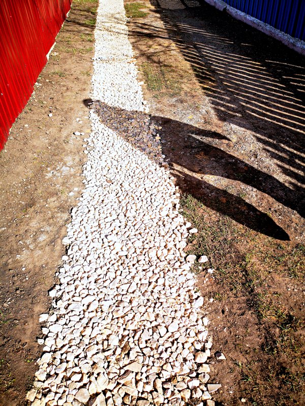 Летняя прогулка