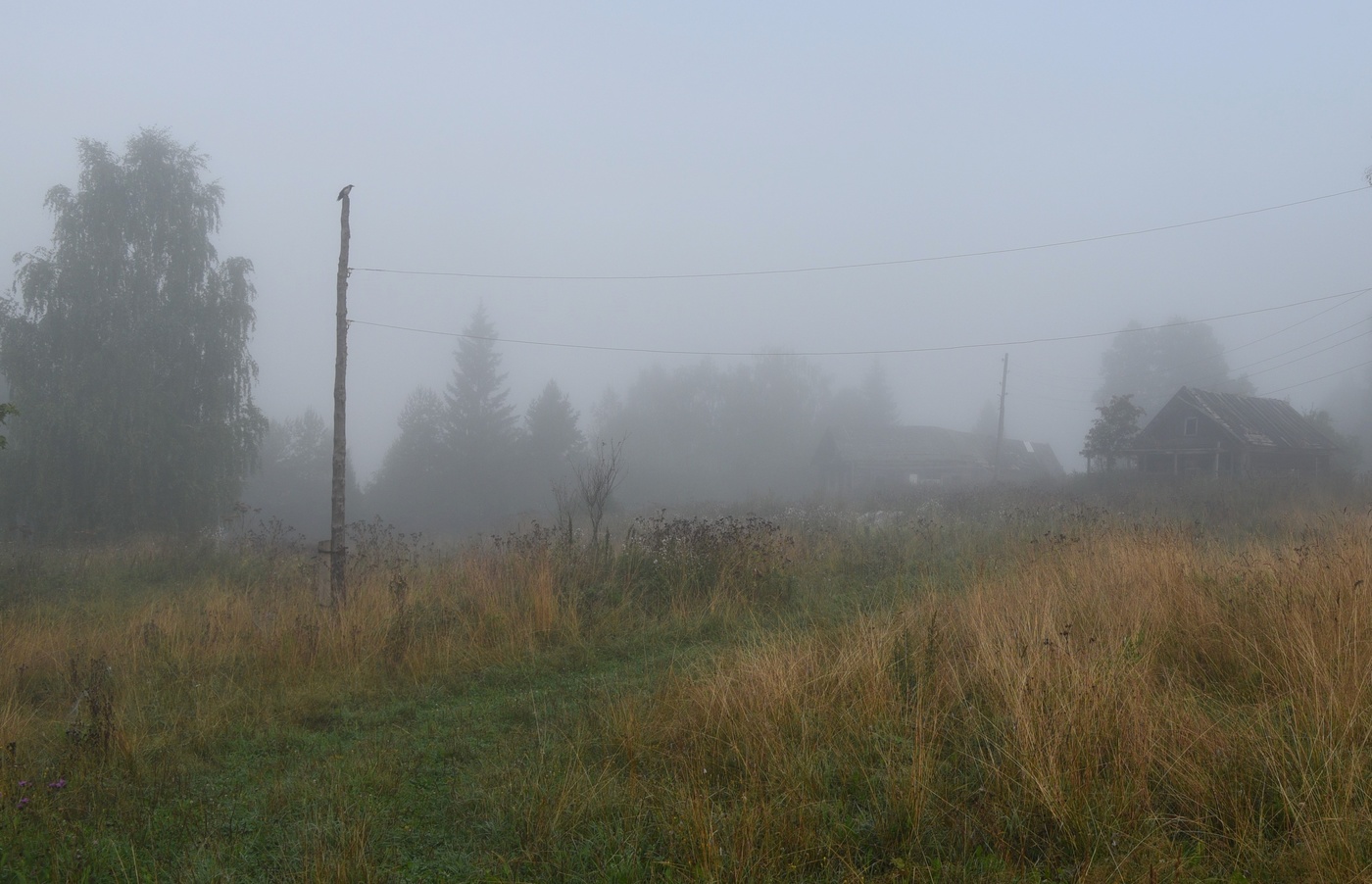 "В тумане весь мир словно сонный..."