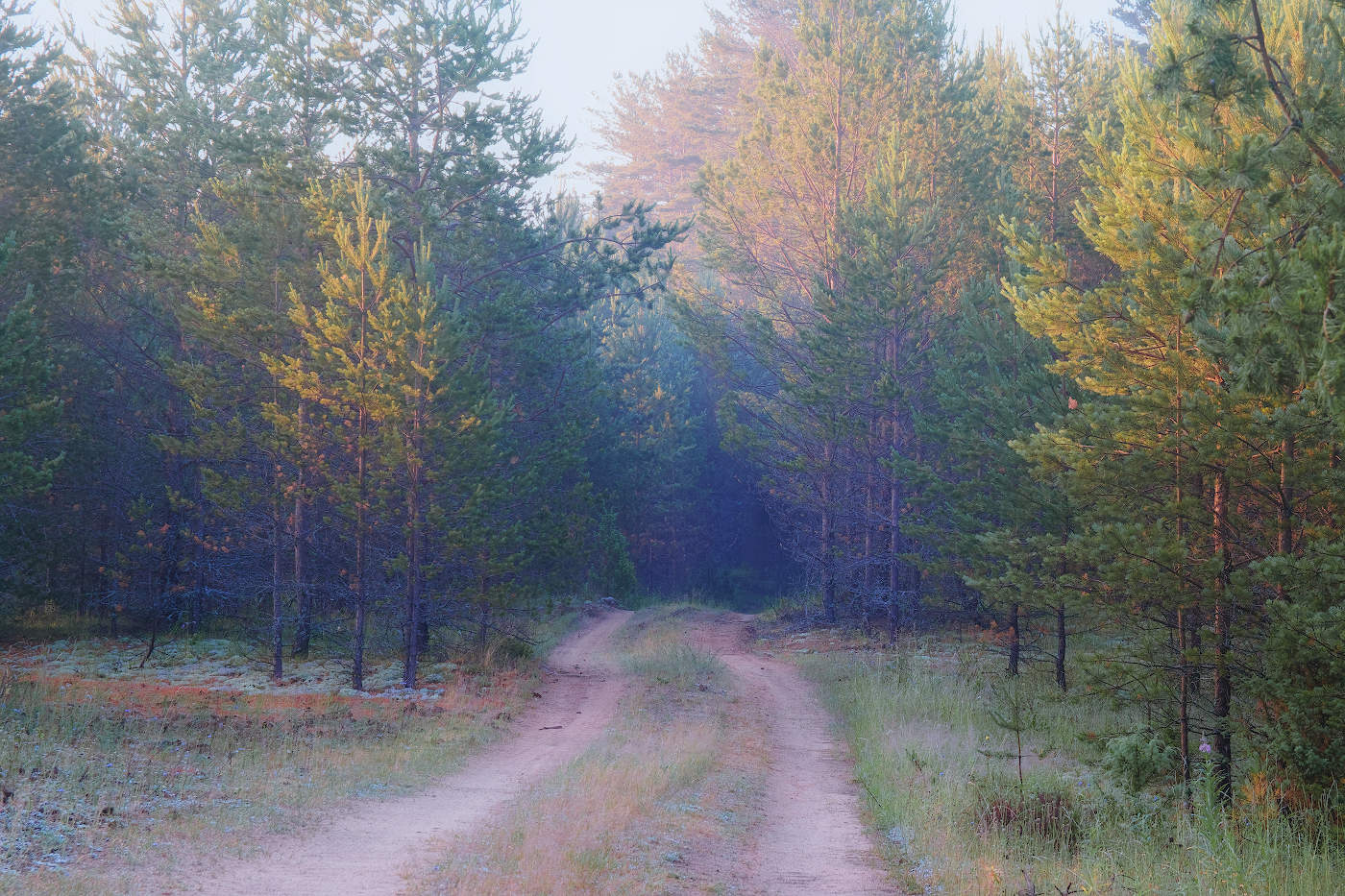 В страну Берендея