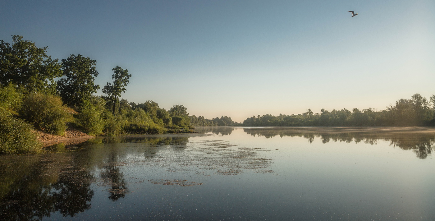 По тихой утренней реке…