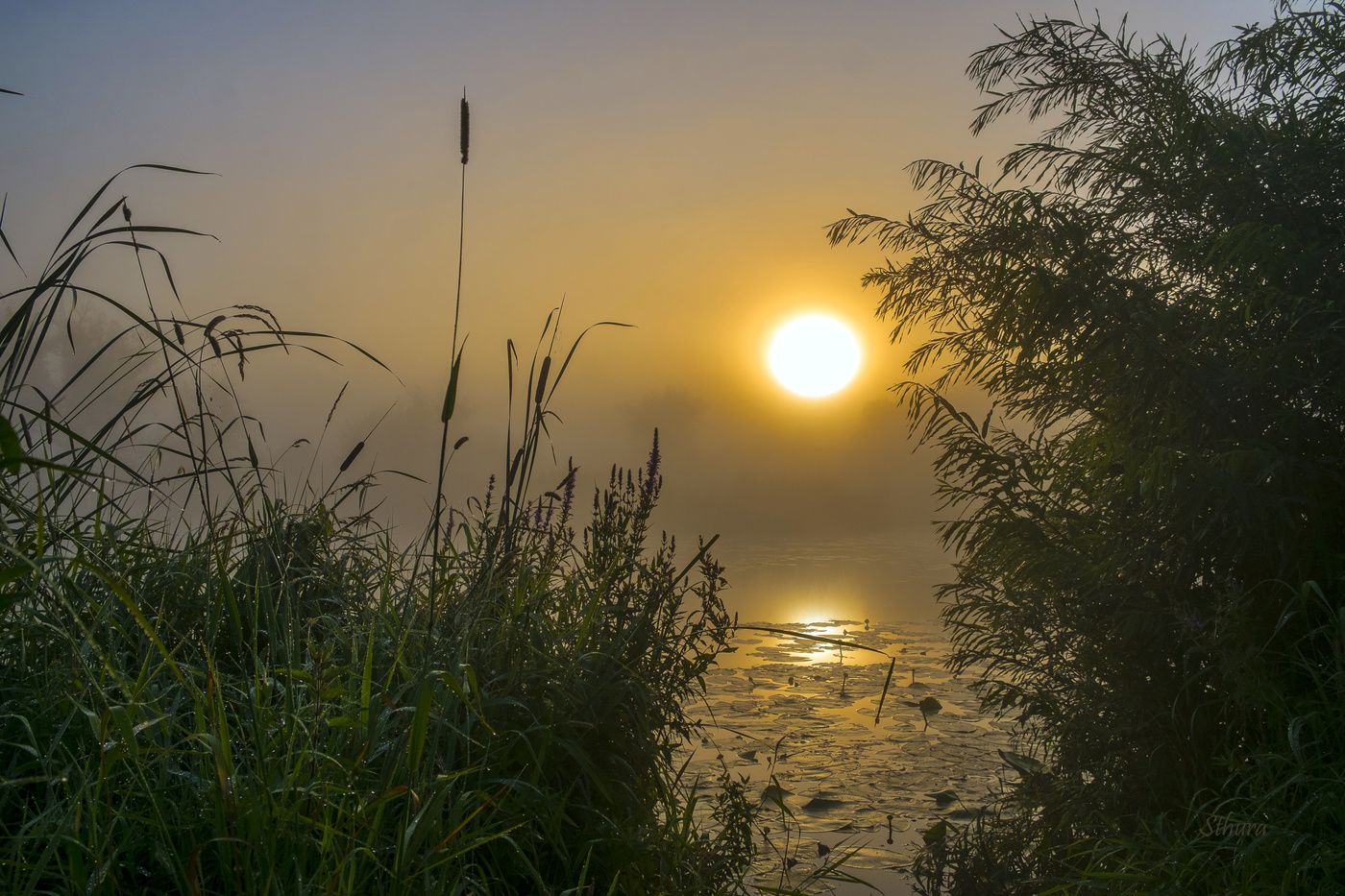 Рассвет. Озеро Студёное.