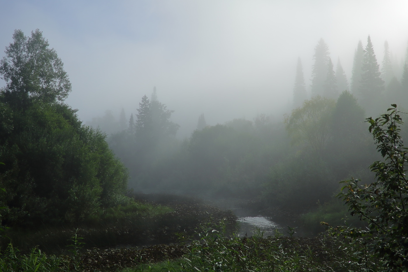 Туман сознания опережает мысли...