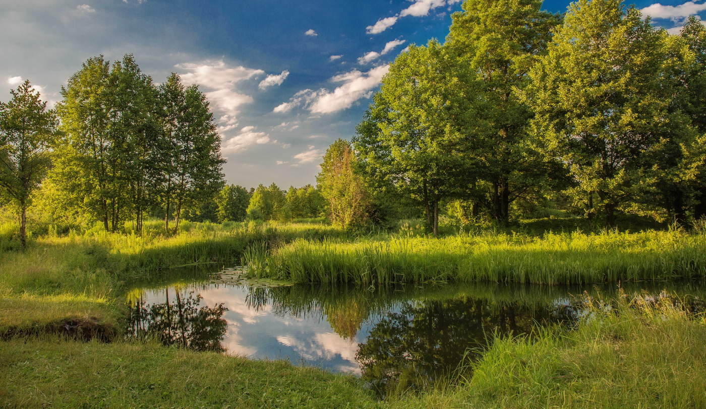Там,где живут караси...