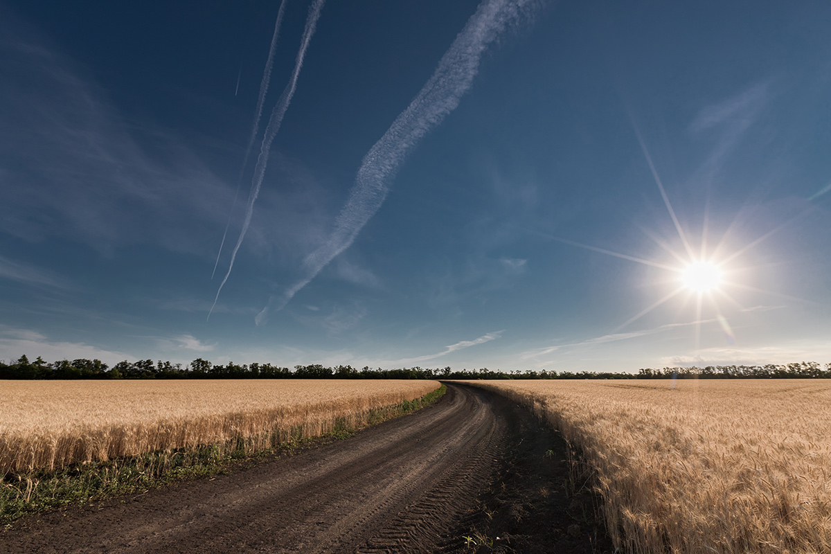 Жара с утра