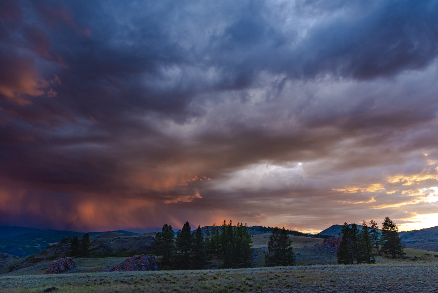 Таежная палитра