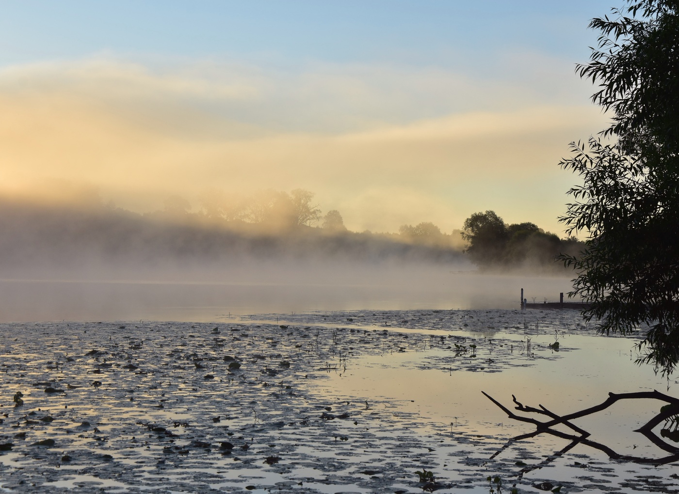 Зари торжественные звуки...