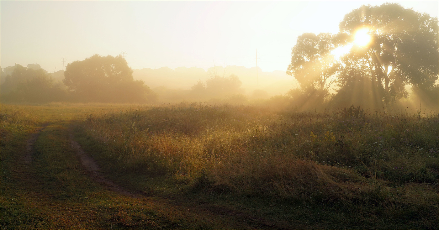 Июльское утро