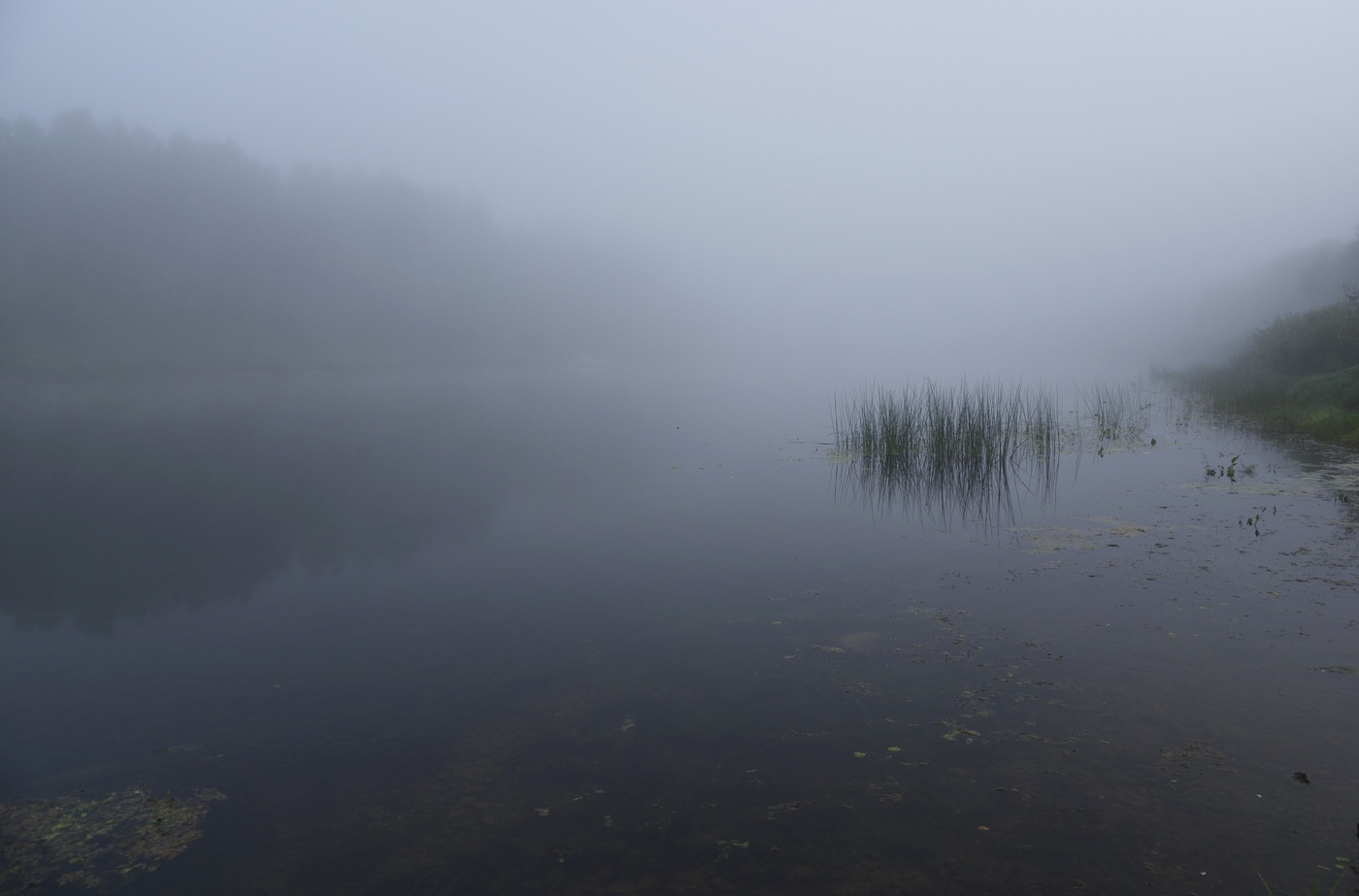"Туман у берега присел, запутался в косичках ивы..."