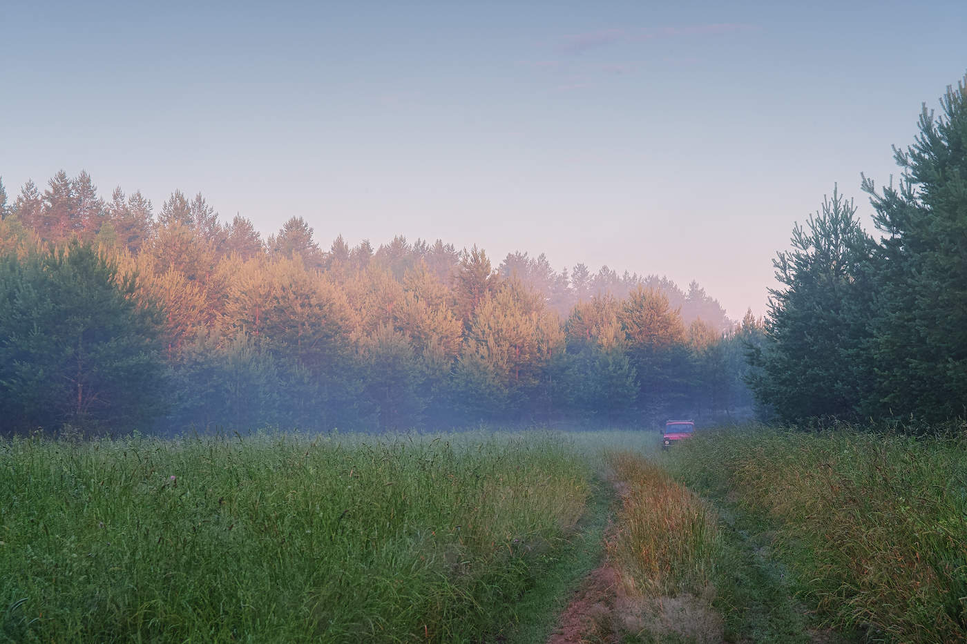 За рассветом в лес