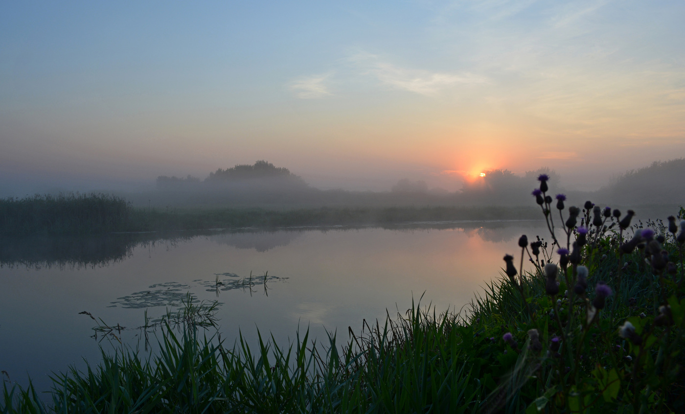 Летний рассвет