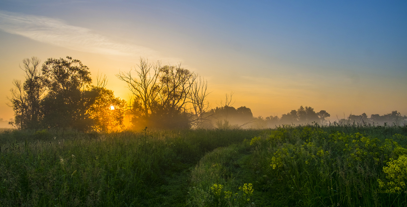 Солнце встаёт.