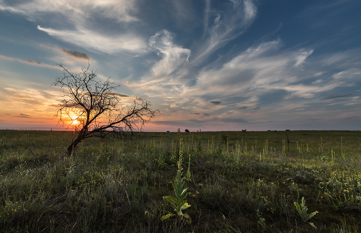 Тишина на закате