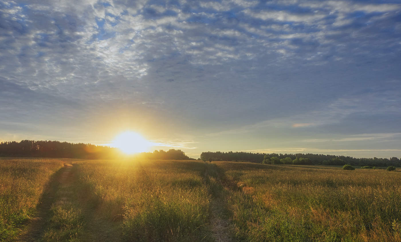 Две дороги к солнцу
