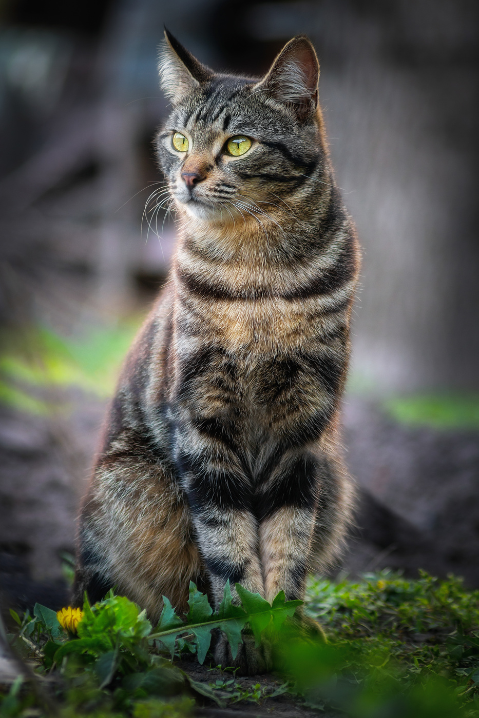 Сама элегантность.