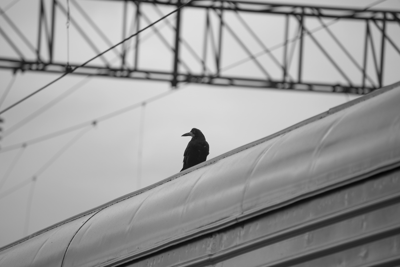 Вариант кадрирования