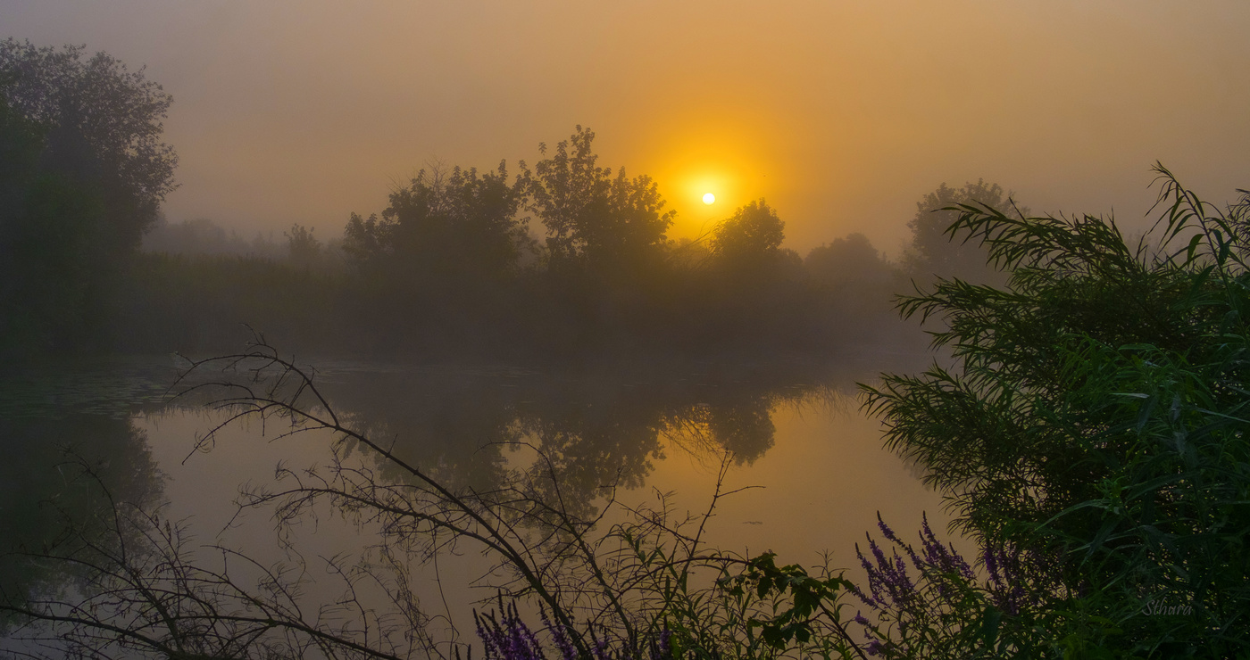 Утренний туман.