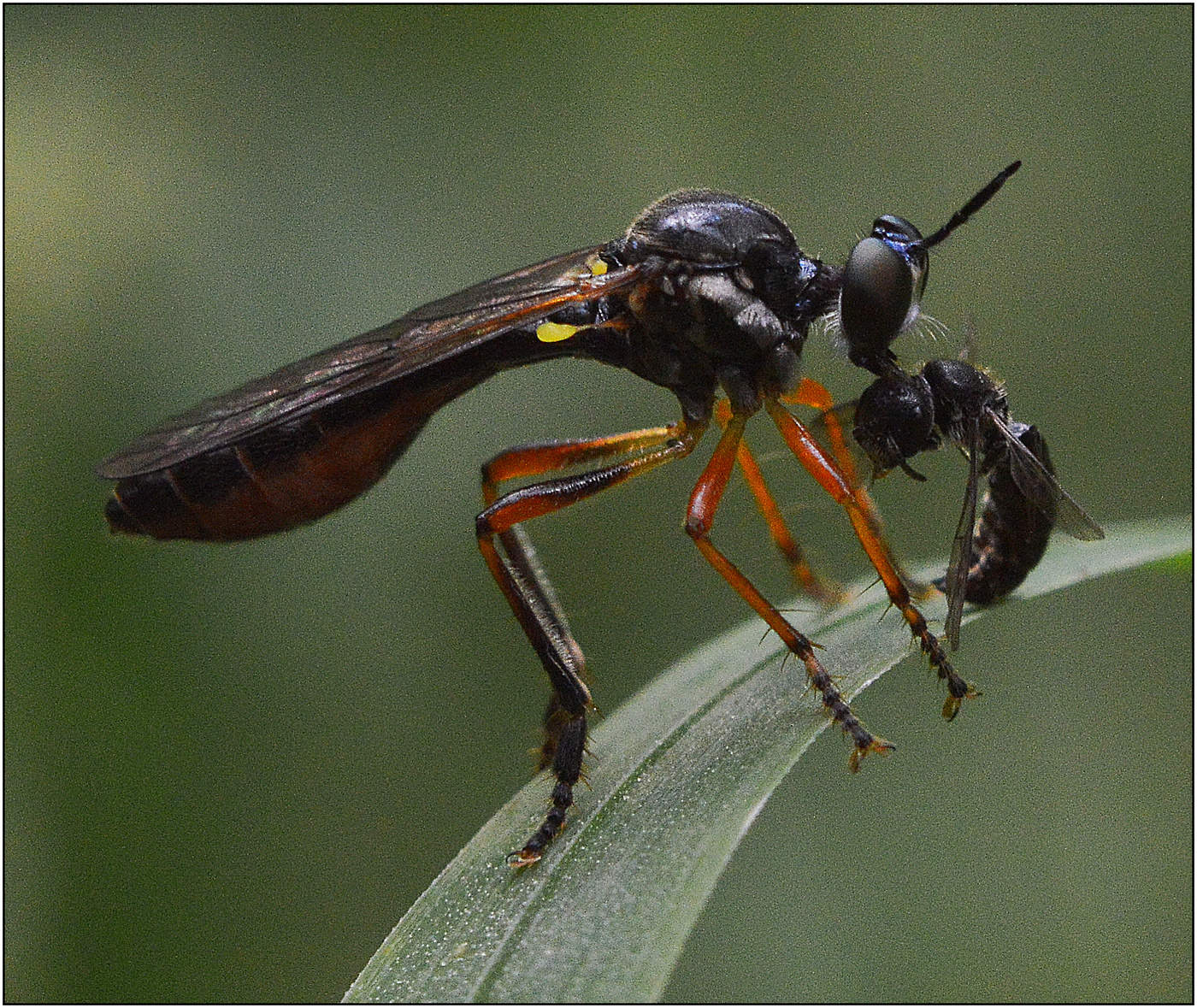 Когда еда не радует.