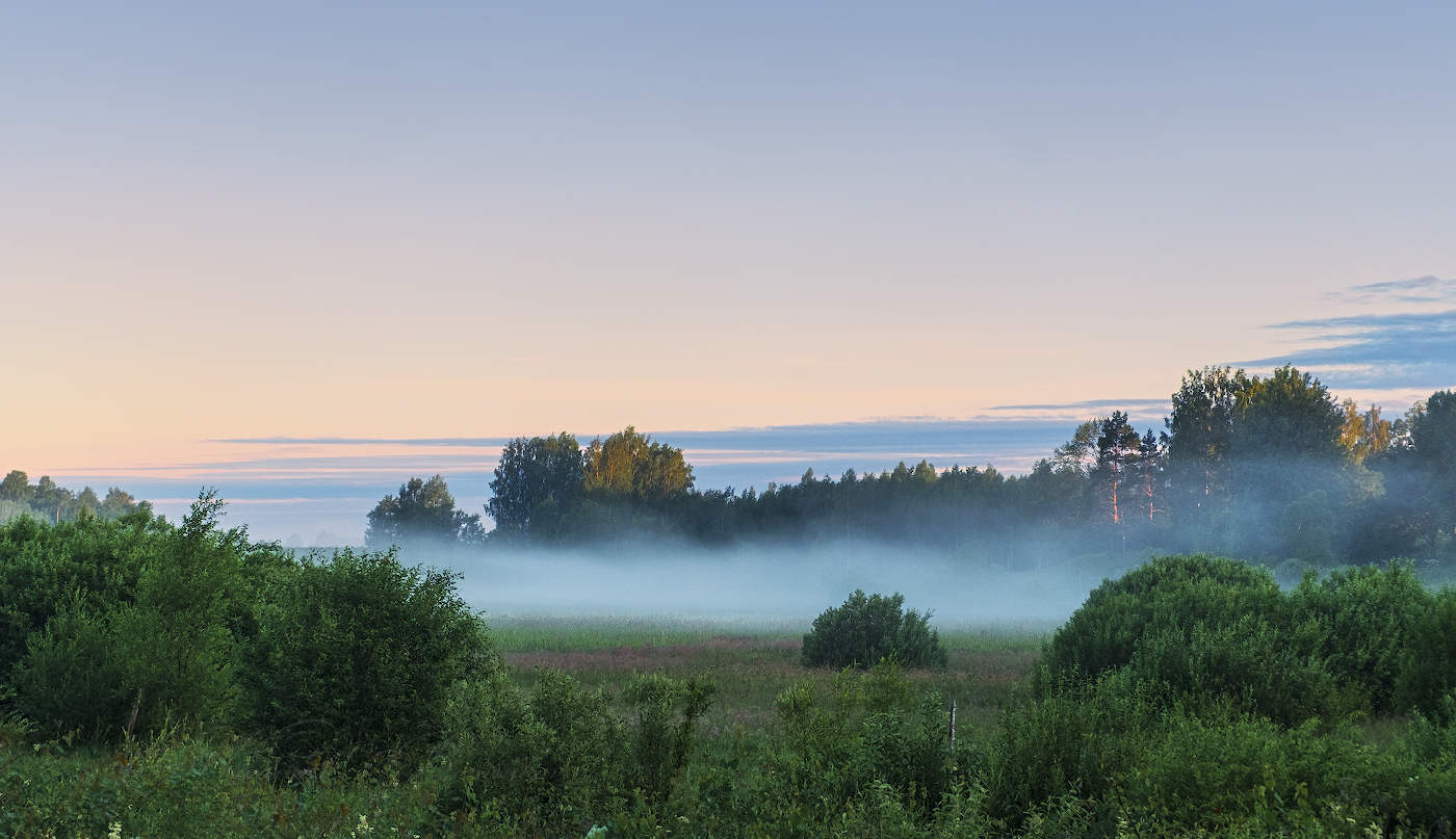 Стелится туман