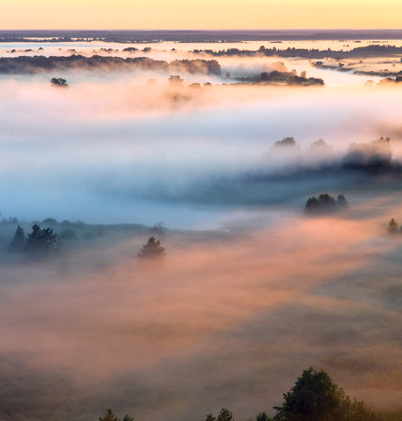 В пелене тумана