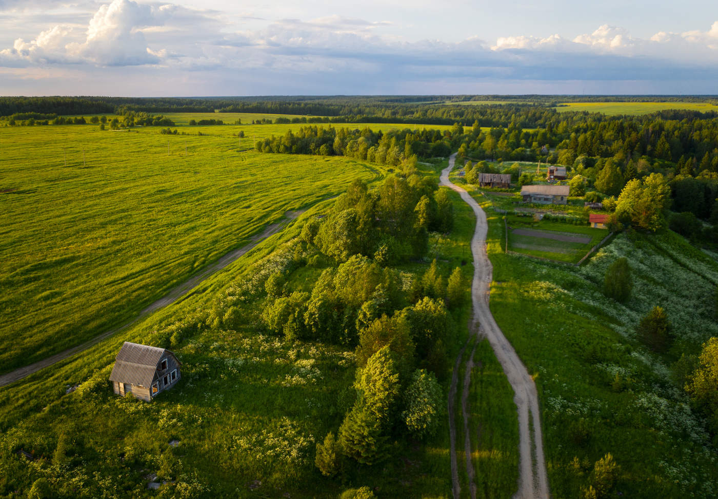 Вечерние поля